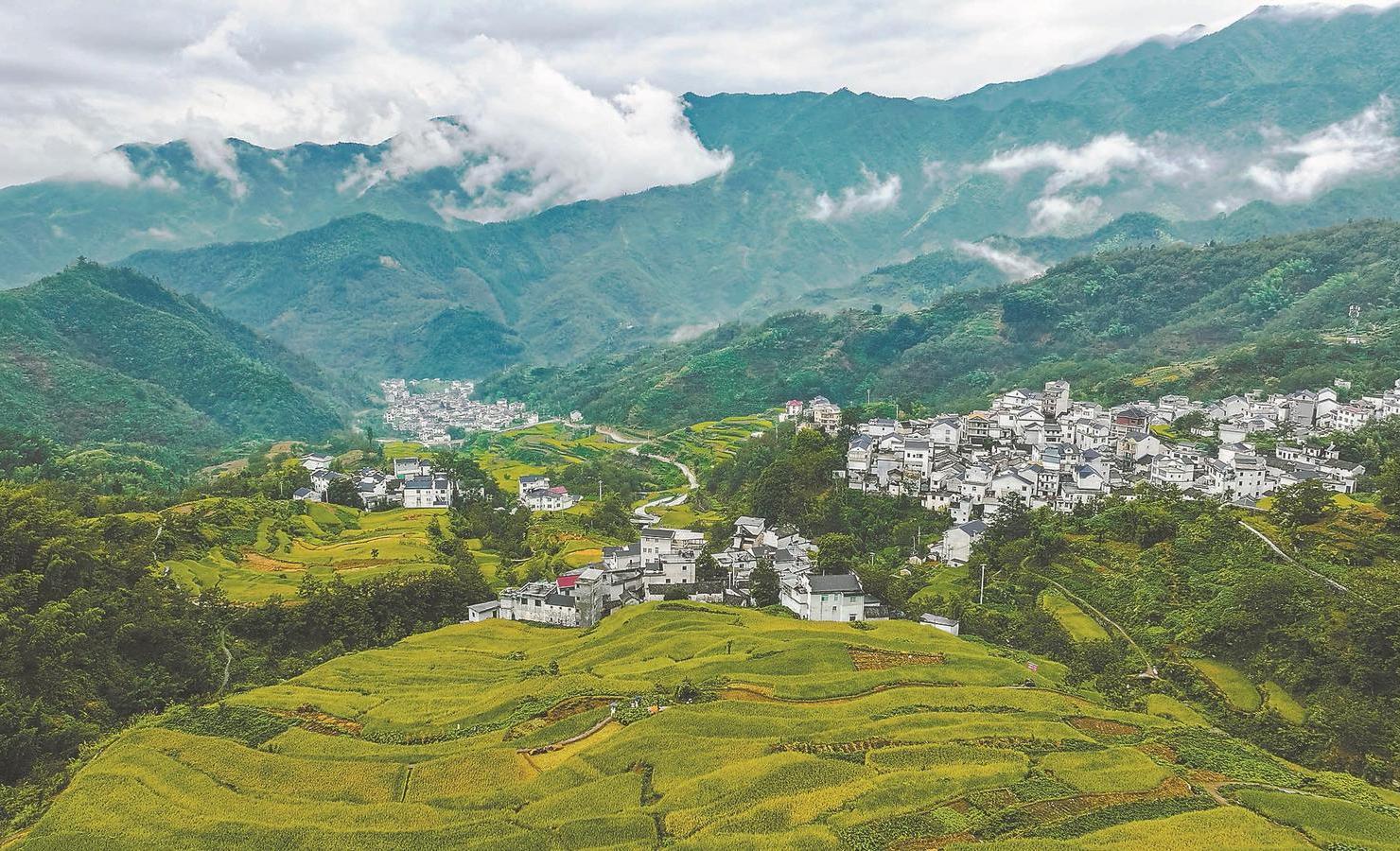 伞下徽韵，安徽风情舞台画卷